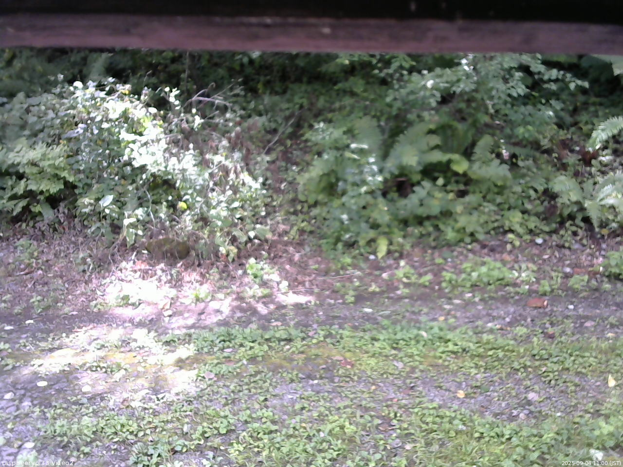 長野県菅平高原 ゆたか山荘 南側 2025/09/04 11:00
