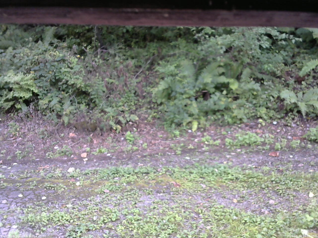 長野県菅平高原 ゆたか山荘 南側 2025/09/04 13:30
