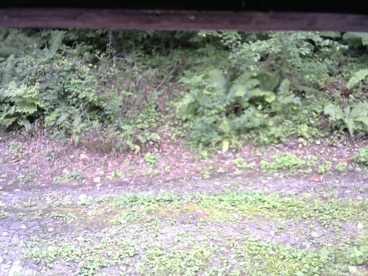 長野県菅平高原 ゆたか山荘 南側 2025/09/04 14:15