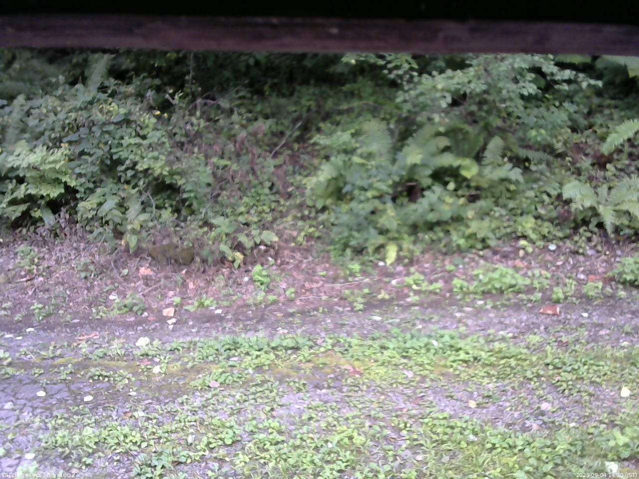 長野県菅平高原 ゆたか山荘 南側 2025/09/04 14:30