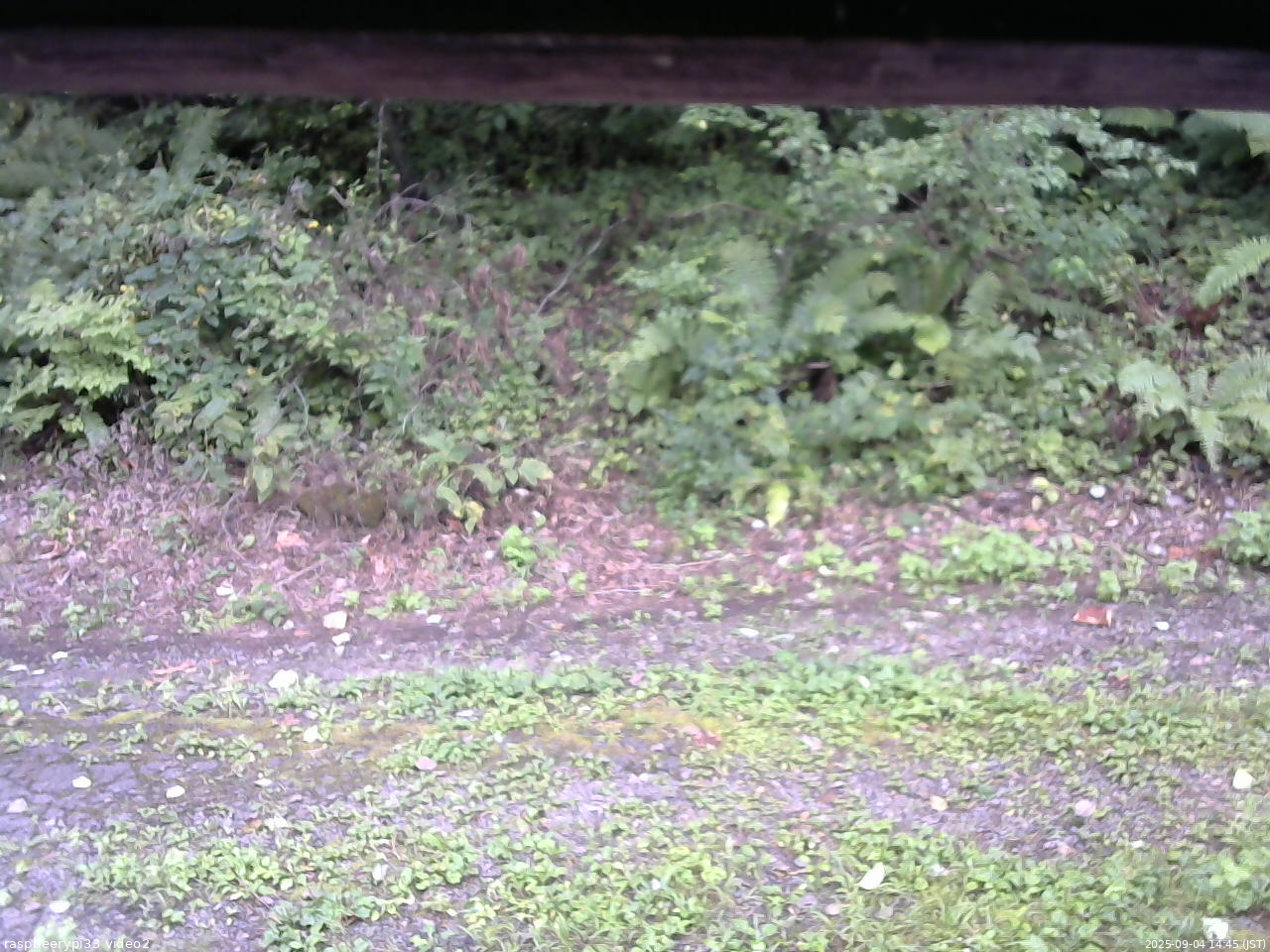長野県菅平高原 ゆたか山荘 南側 2025/09/04 14:45