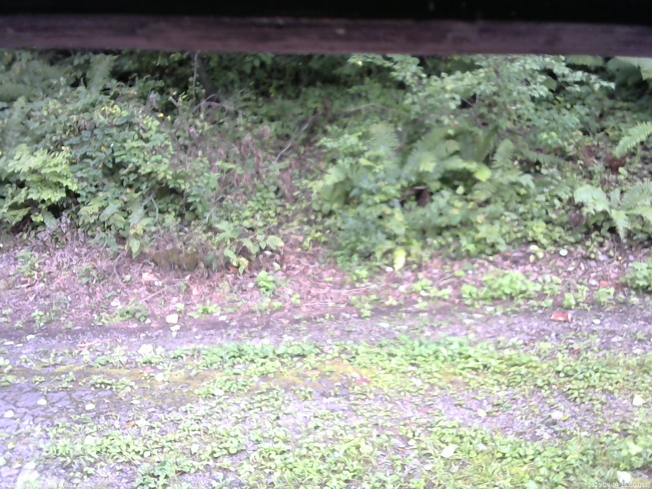 長野県菅平高原 ゆたか山荘 南側 2025/09/04 15:00