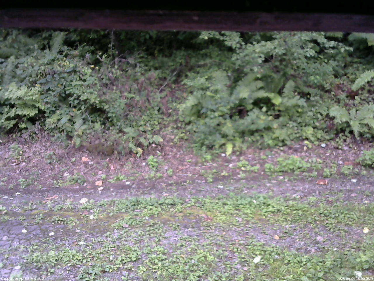 長野県菅平高原 ゆたか山荘 南側 2025/09/04 16:00