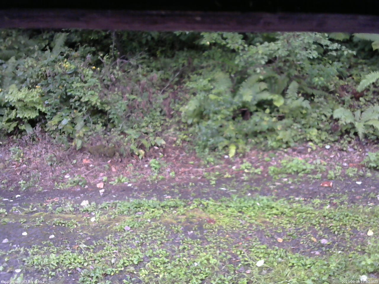 長野県菅平高原 ゆたか山荘 南側 2025/09/04 17:30