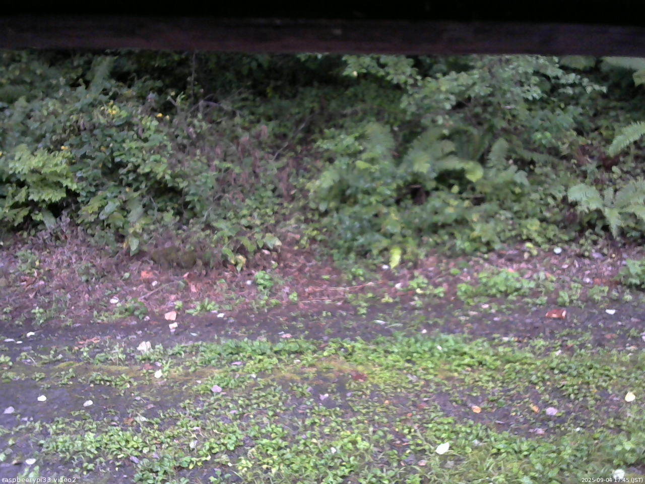 長野県菅平高原 ゆたか山荘 南側 2025/09/04 17:45