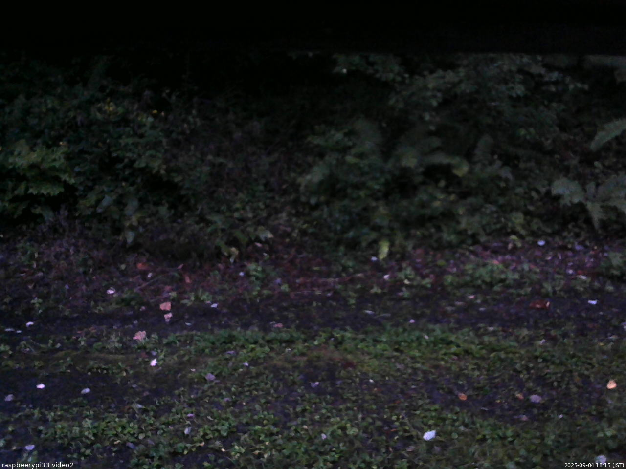 長野県菅平高原 ゆたか山荘 南側 2025/09/04 18:15