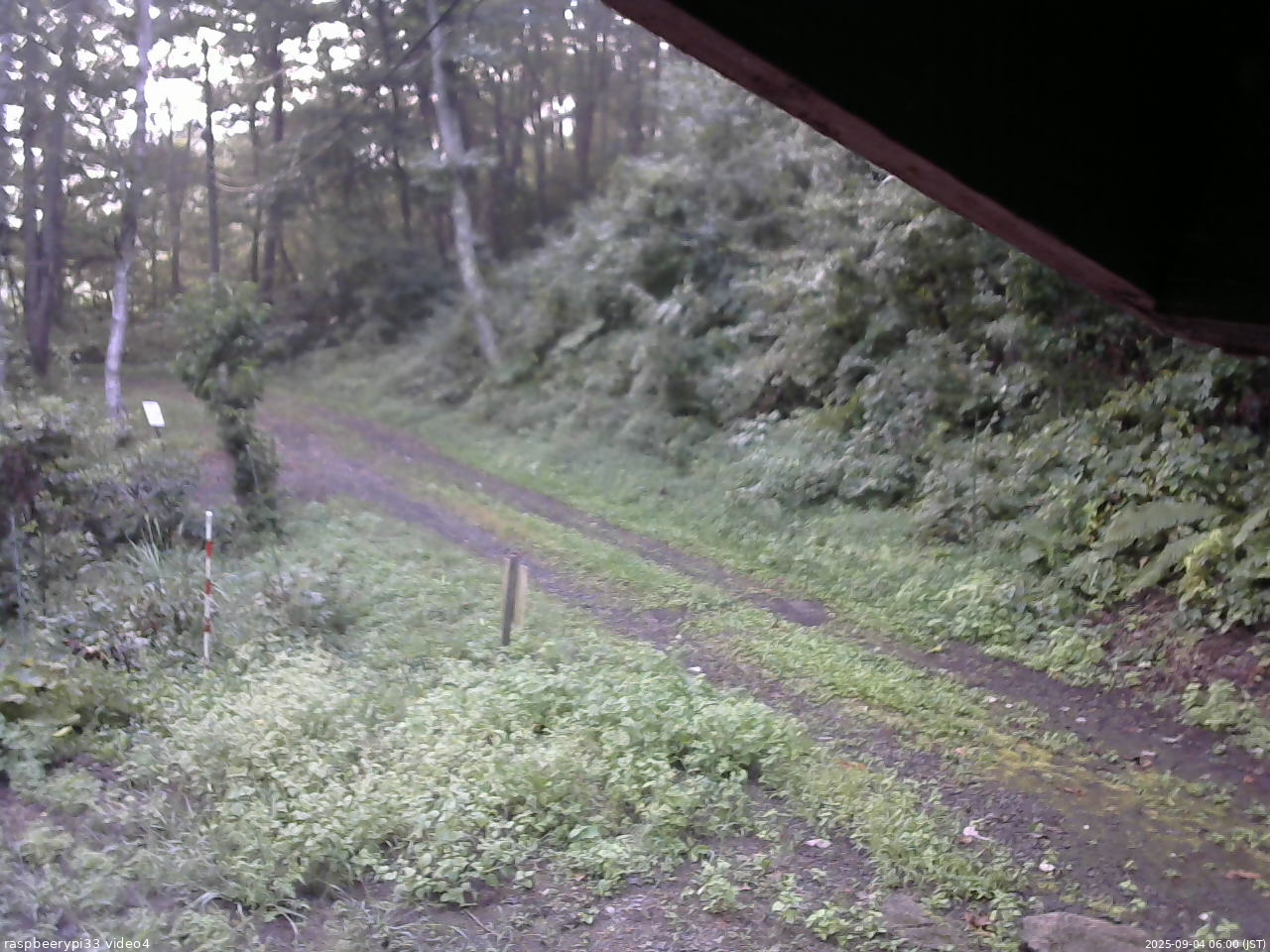 長野県菅平高原 ゆたか山荘 東側(坂下) 2025/09/04 06:00