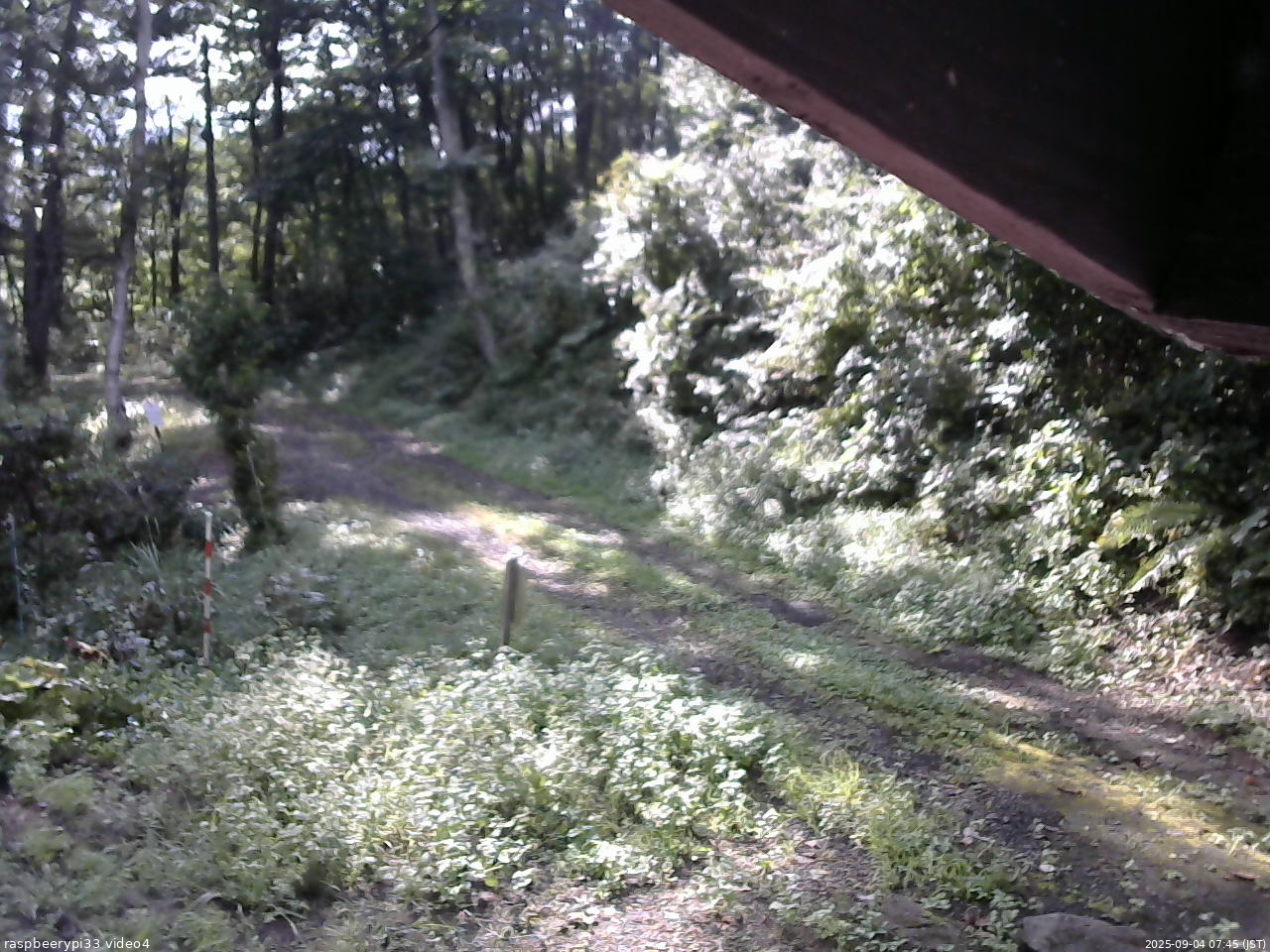 長野県菅平高原 ゆたか山荘 東側(坂下) 2025/09/04 07:45
