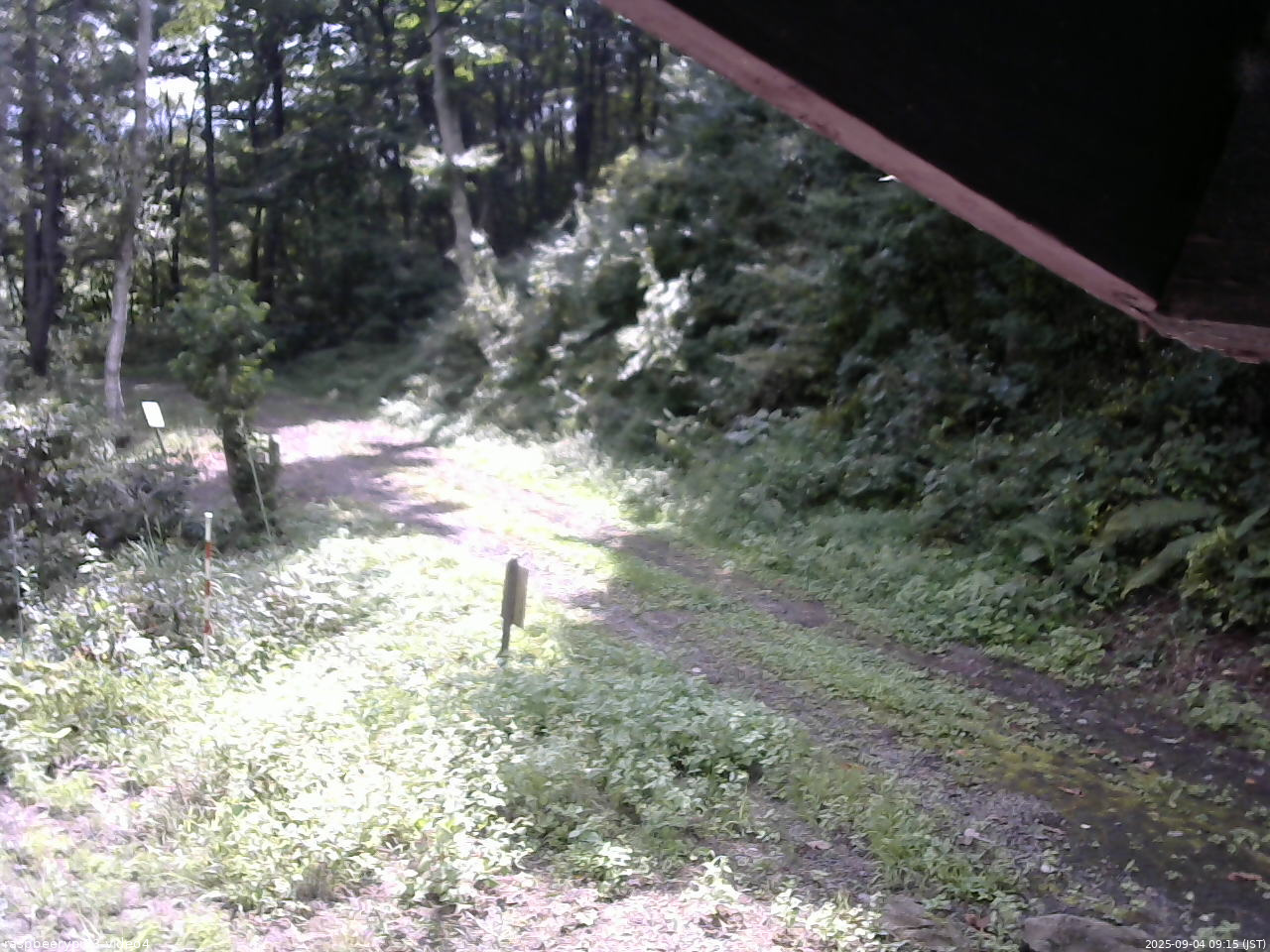 長野県菅平高原 ゆたか山荘 東側(坂下) 2025/09/04 09:15