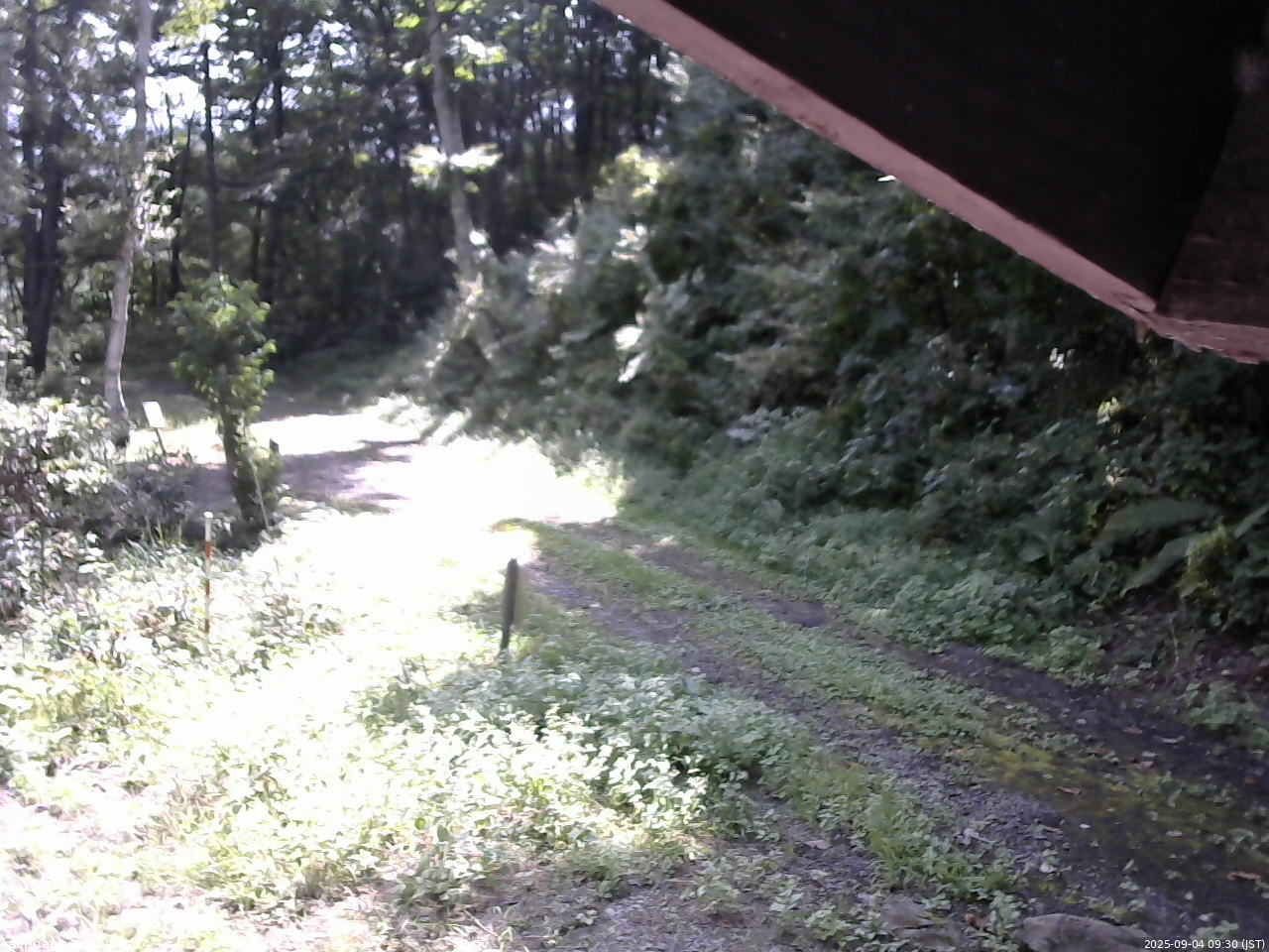 長野県菅平高原 ゆたか山荘 東側(坂下) 2025/09/04 09:30