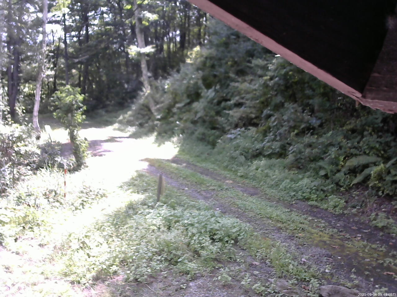 長野県菅平高原 ゆたか山荘 東側(坂下) 2025/09/04 09:45