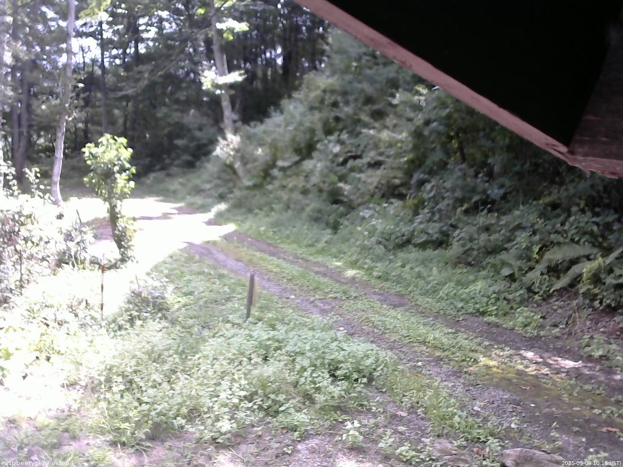 長野県菅平高原 ゆたか山荘 東側(坂下) 2025/09/04 10:15