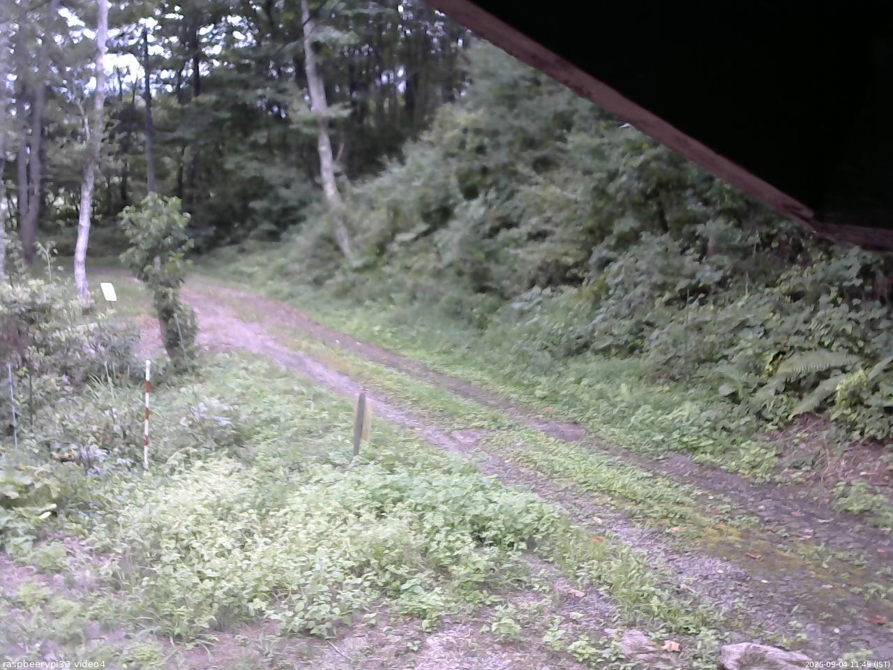 長野県菅平高原 ゆたか山荘 東側(坂下) 2025/09/04 11:45