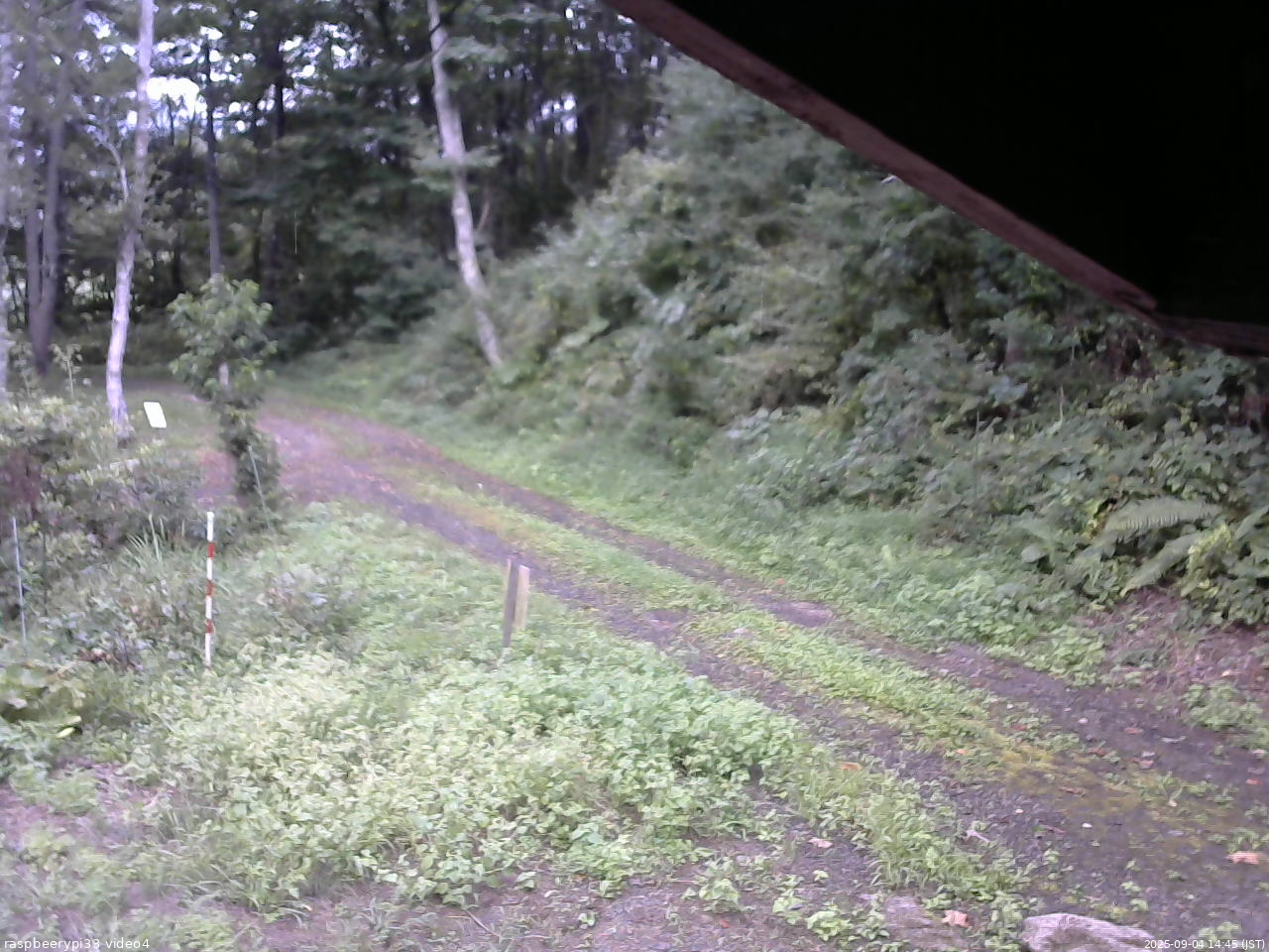 長野県菅平高原 ゆたか山荘 東側(坂下) 2025/09/04 14:45