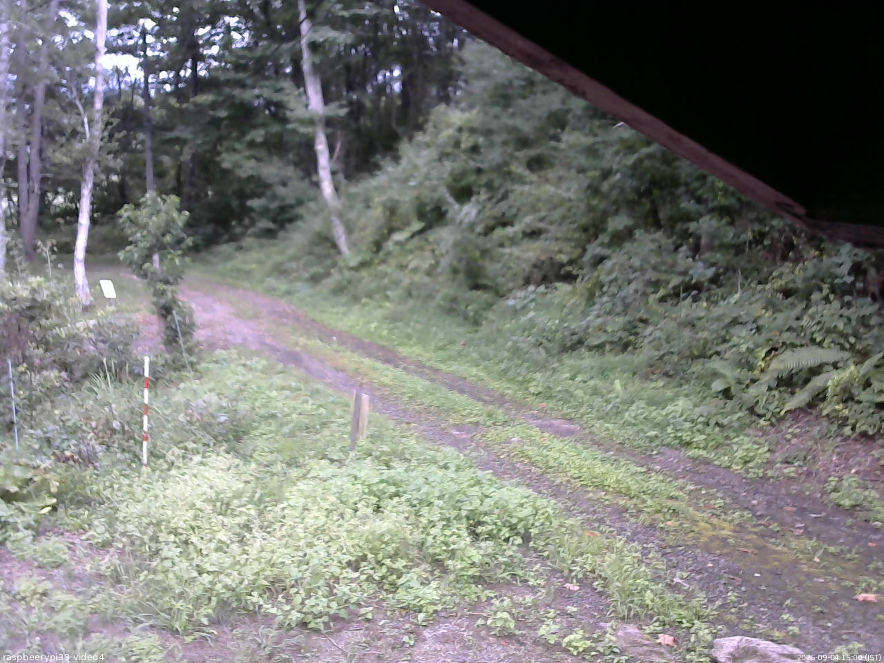 長野県菅平高原 ゆたか山荘 東側(坂下) 2025/09/04 15:00