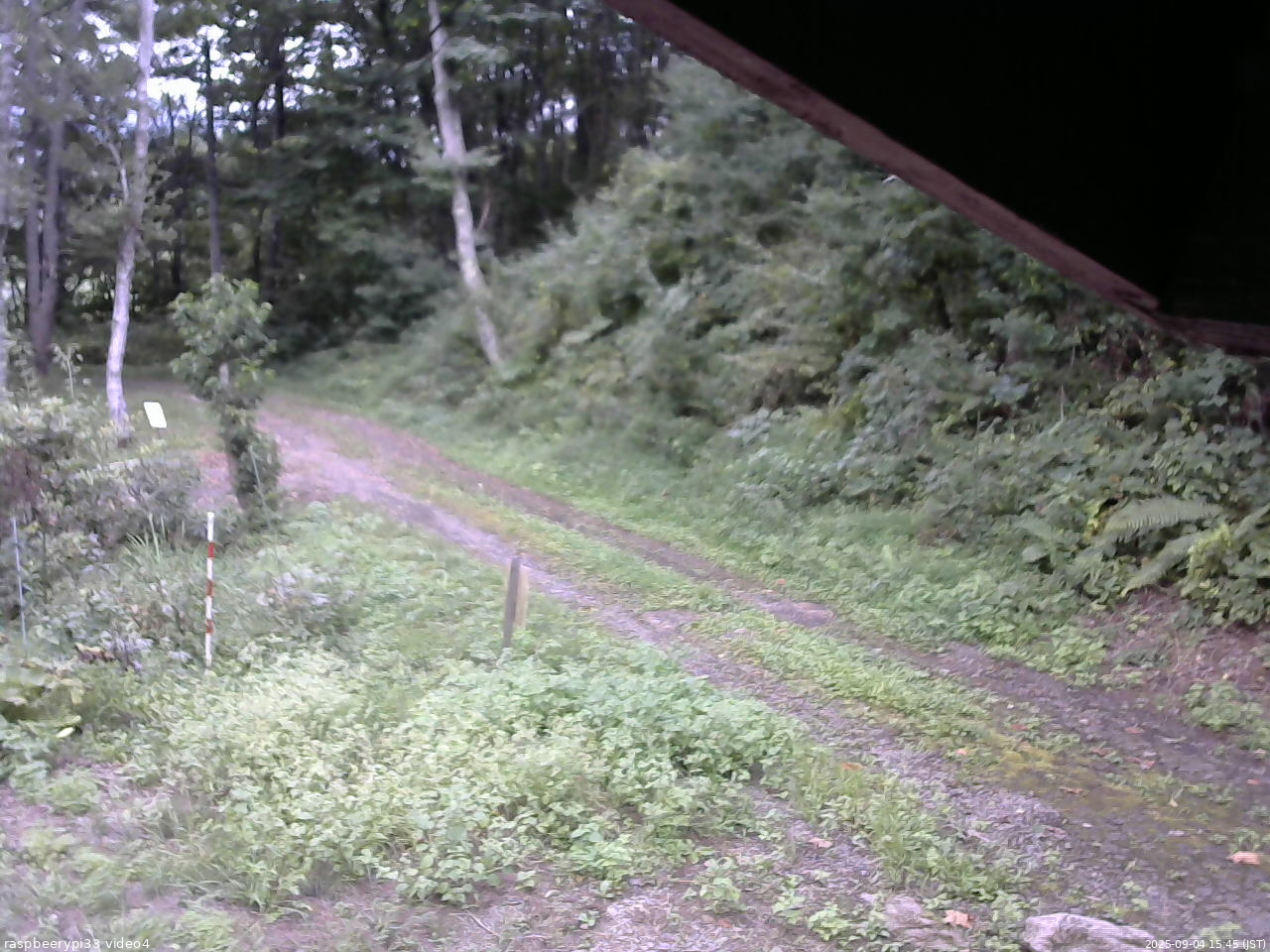 長野県菅平高原 ゆたか山荘 東側(坂下) 2025/09/04 15:45