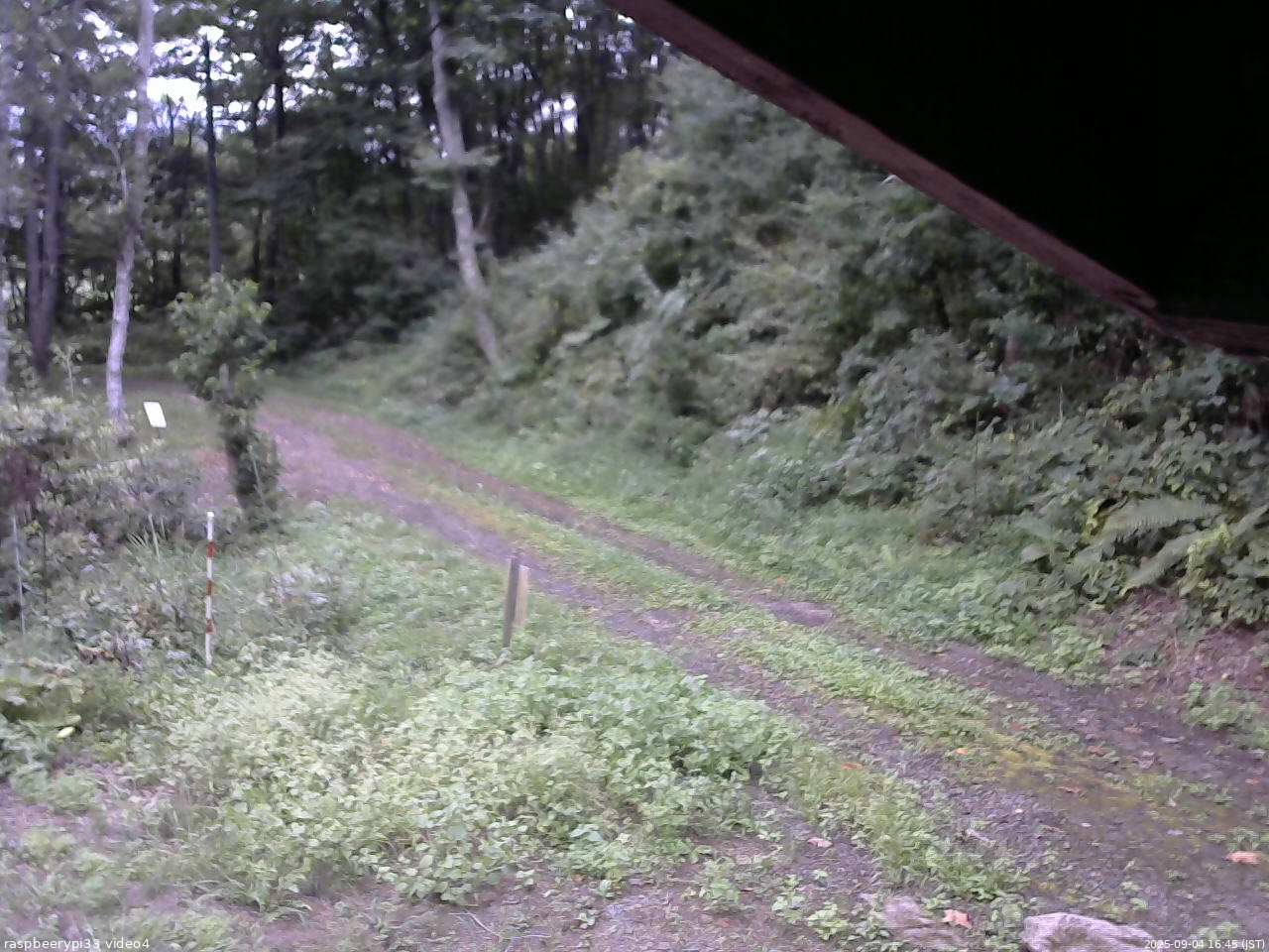 長野県菅平高原 ゆたか山荘 東側(坂下) 2025/09/04 16:45