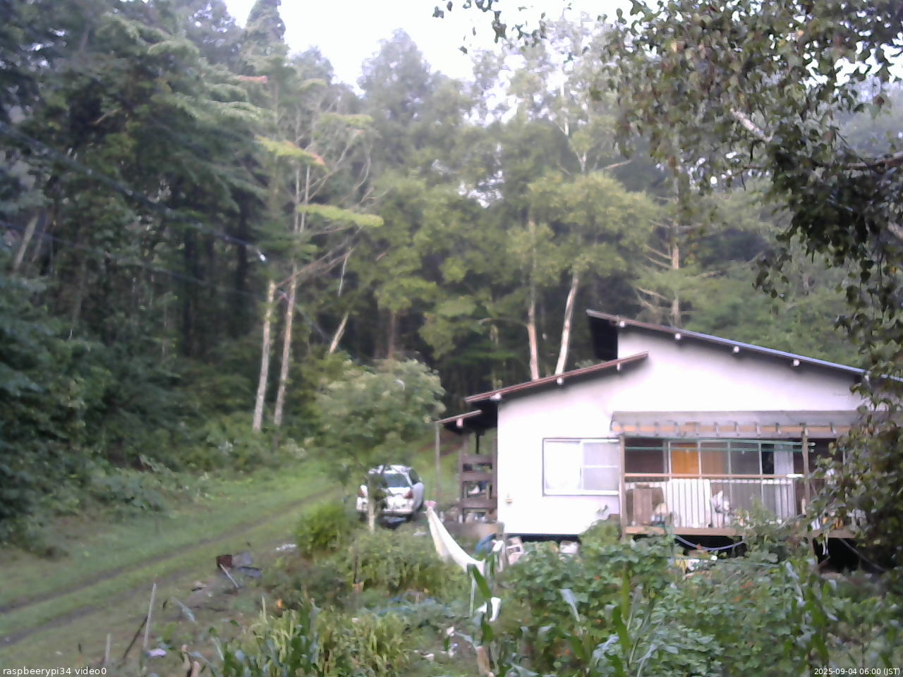 長野県菅平高原 ゆたか山荘 西側(坂上) 2025/09/04 06:00