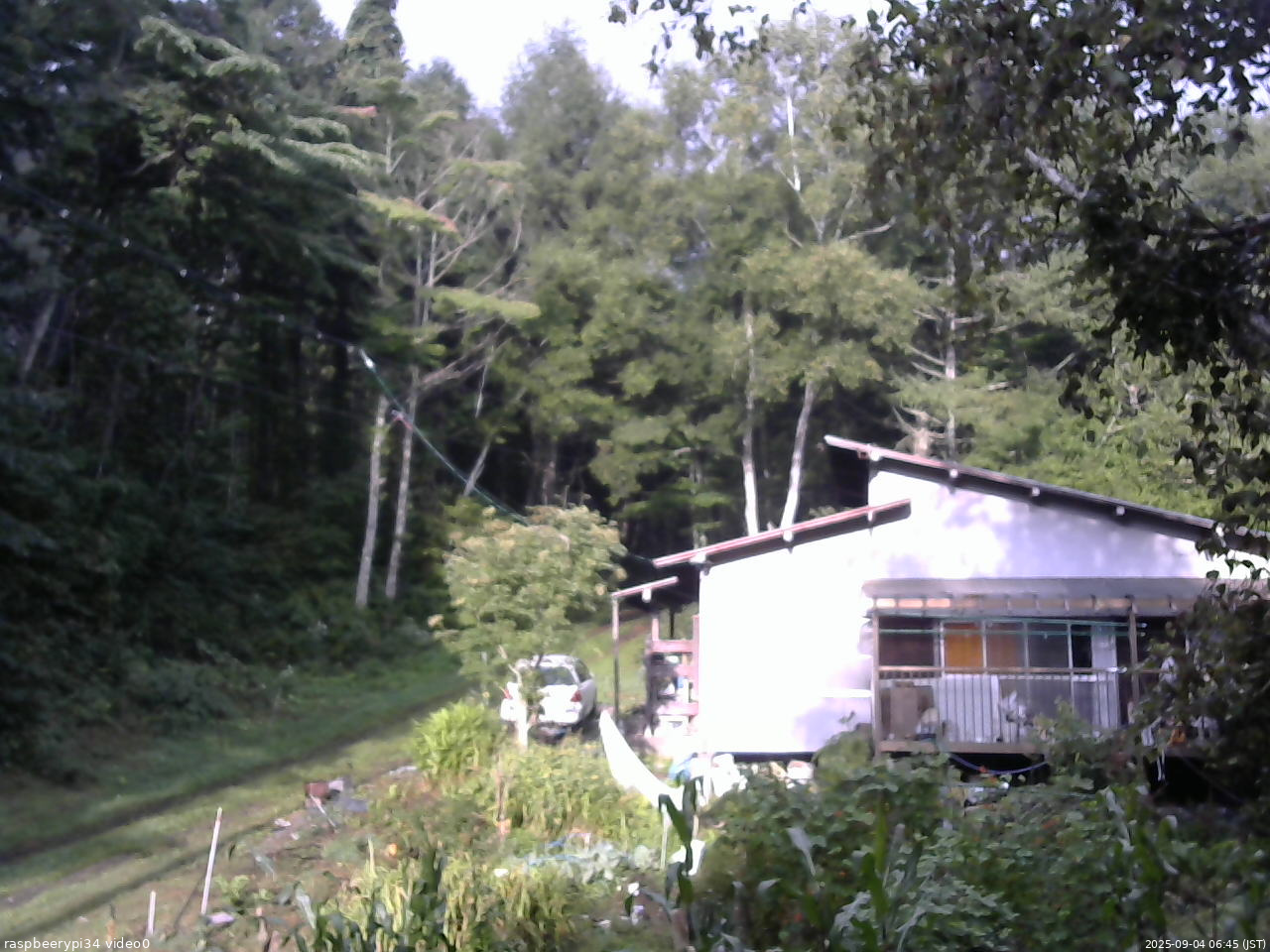 長野県菅平高原 ゆたか山荘 西側(坂上) 2025/09/04 06:45