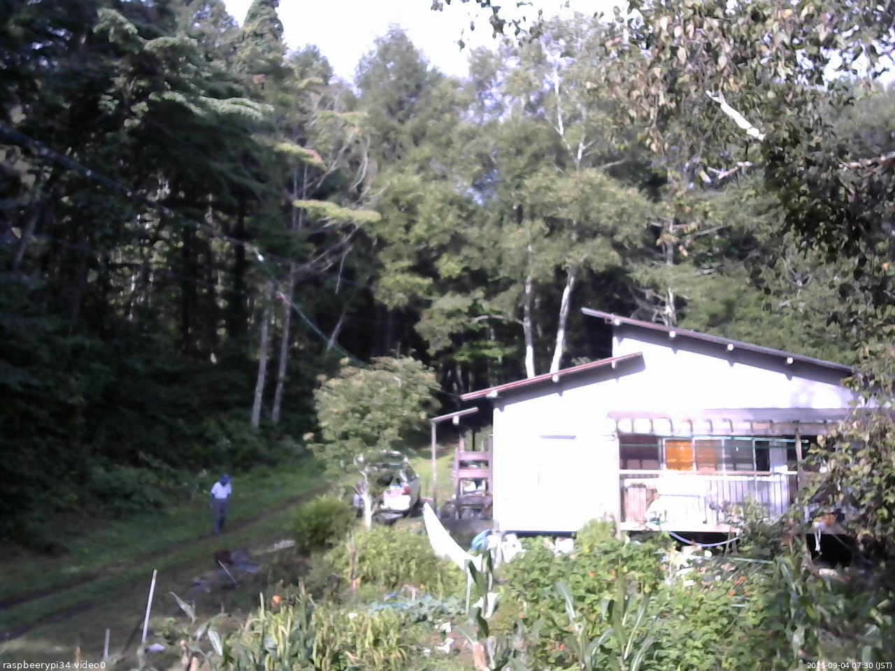 長野県菅平高原 ゆたか山荘 西側(坂上) 2025/09/04 07:30