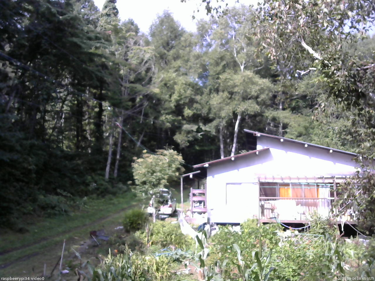 長野県菅平高原 ゆたか山荘 西側(坂上) 2025/09/04 08:45