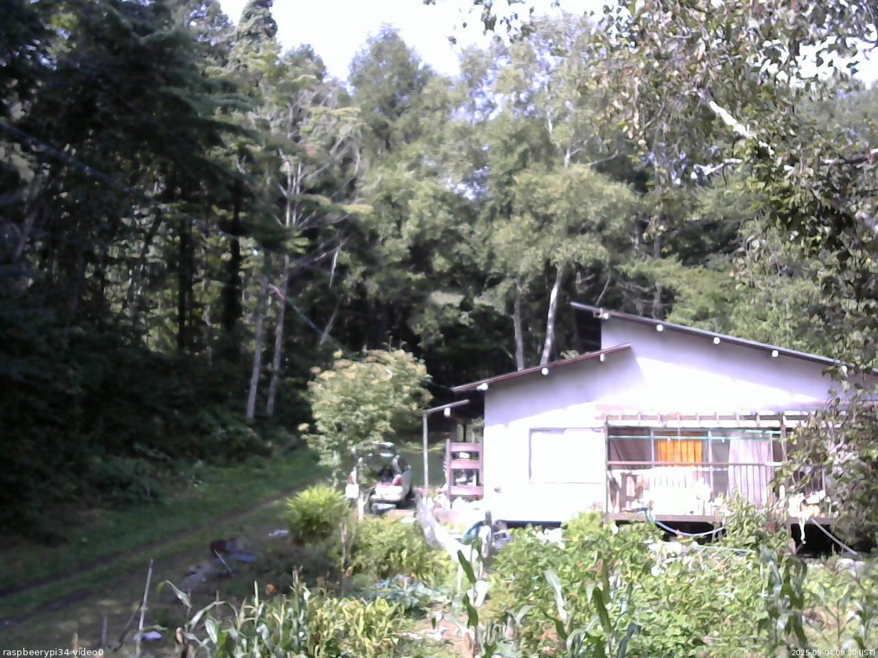長野県菅平高原 ゆたか山荘 西側(坂上) 2025/09/04 09:30