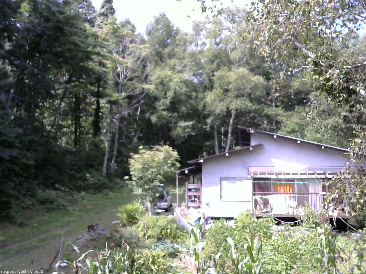 長野県菅平高原 ゆたか山荘 西側(坂上) 2025/09/04 10:15