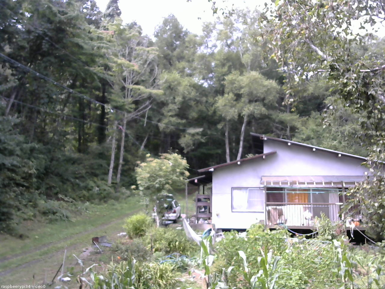 長野県菅平高原 ゆたか山荘 西側(坂上) 2025/09/04 10:45