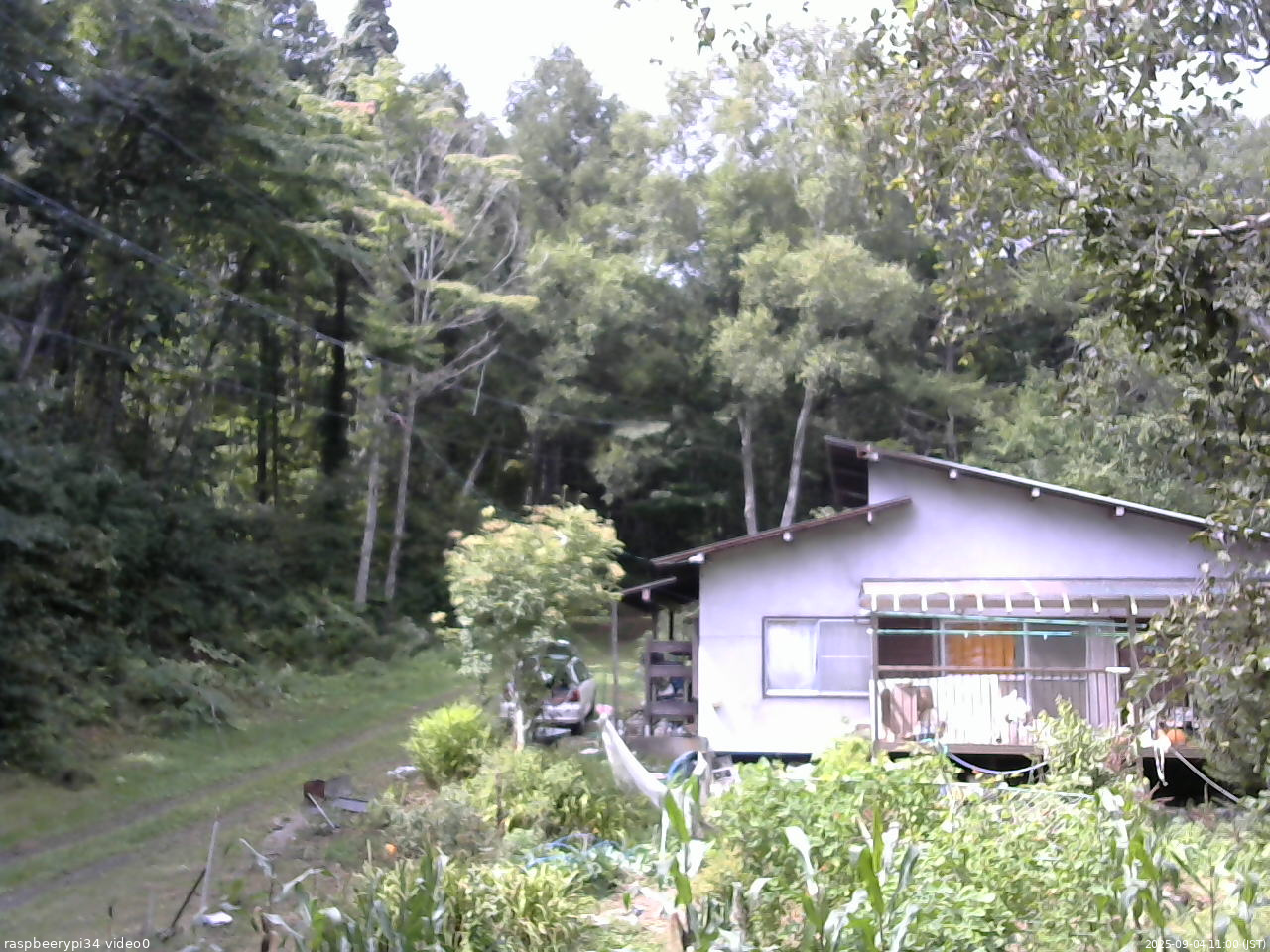 長野県菅平高原 ゆたか山荘 西側(坂上) 2025/09/04 11:00