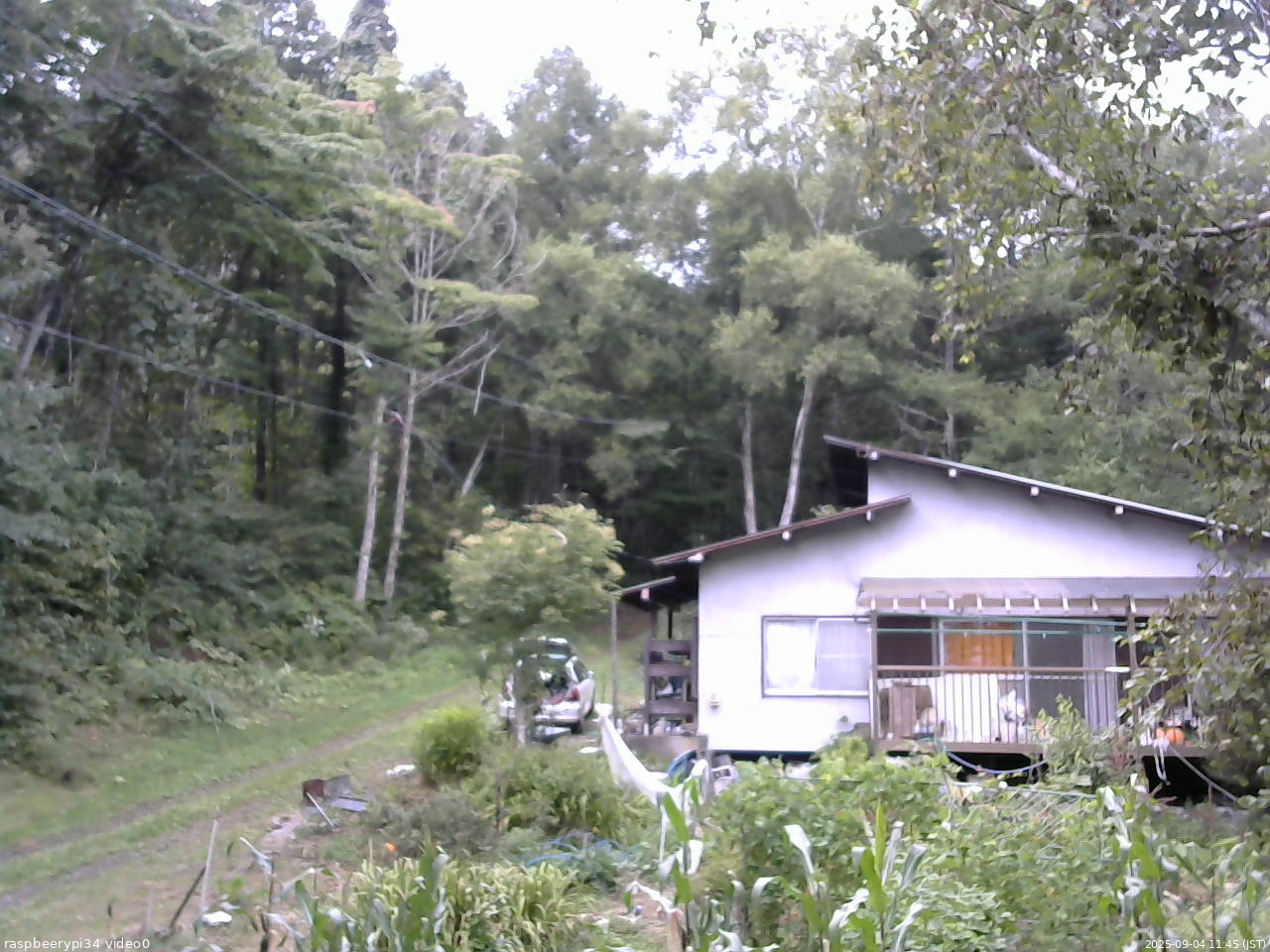 長野県菅平高原 ゆたか山荘 西側(坂上) 2025/09/04 11:45