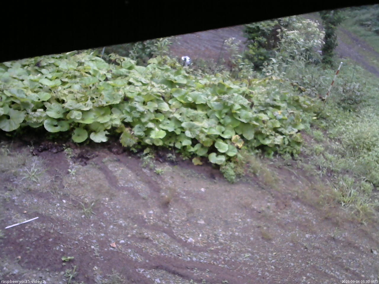 長野県菅平高原 ゆたか山荘 駐車場 2025/09/04 05:30