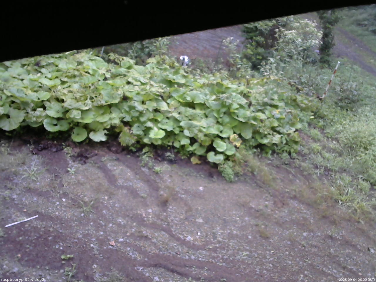 長野県菅平高原 ゆたか山荘 駐車場 2025/09/04 06:00