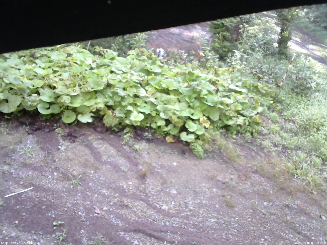 長野県菅平高原 ゆたか山荘 駐車場 2025/09/04 07:00