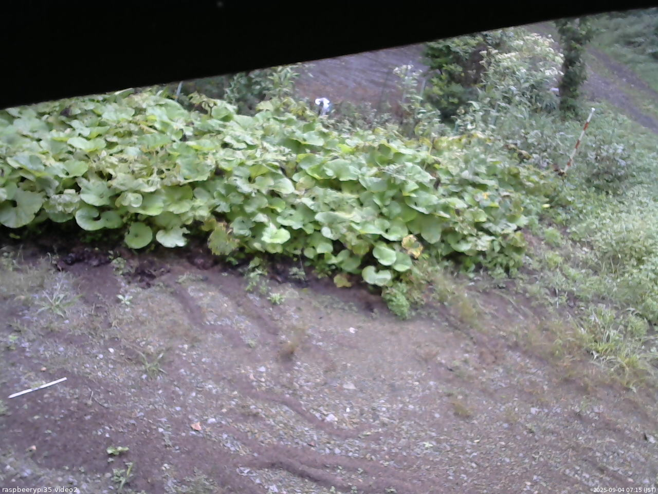 長野県菅平高原 ゆたか山荘 駐車場 2025/09/04 07:15