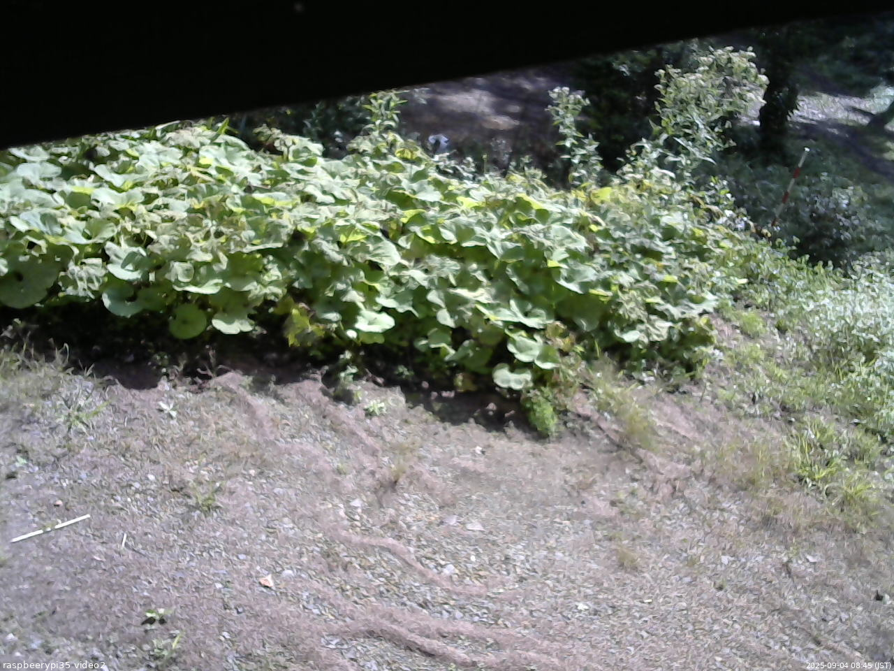 長野県菅平高原 ゆたか山荘 駐車場 2025/09/04 08:45