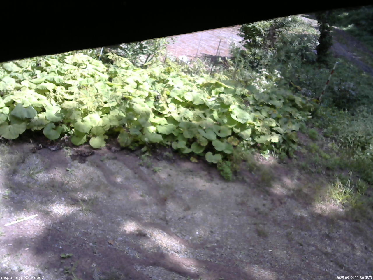 長野県菅平高原 ゆたか山荘 駐車場 2025/09/04 11:30
