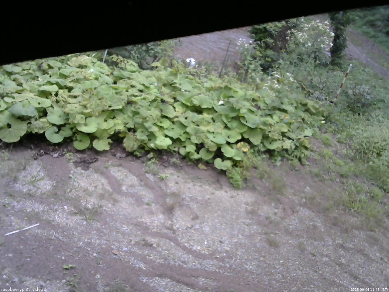 長野県菅平高原 ゆたか山荘 駐車場 2025/09/04 11:45