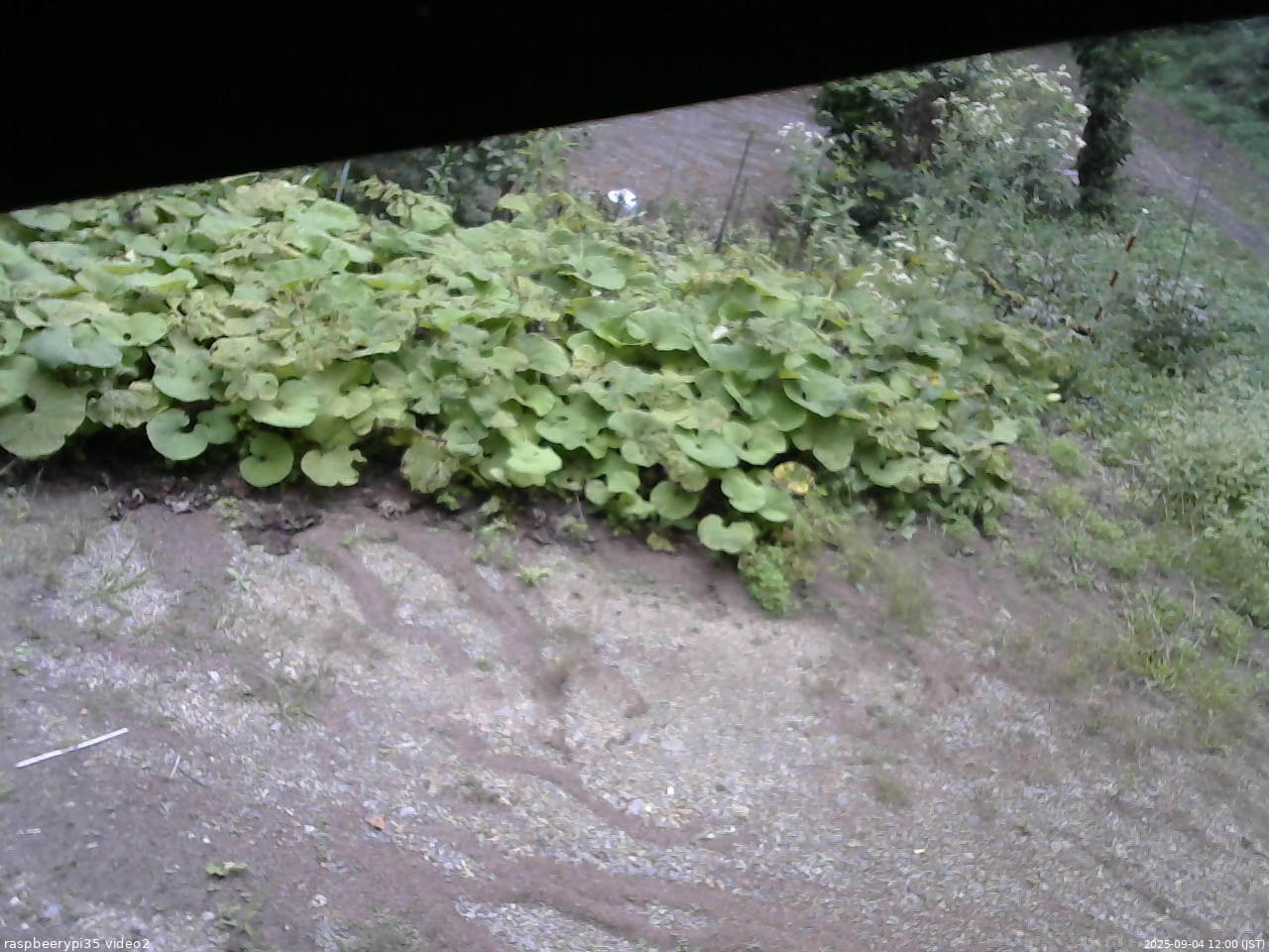 長野県菅平高原 ゆたか山荘 駐車場 2025/09/04 12:00