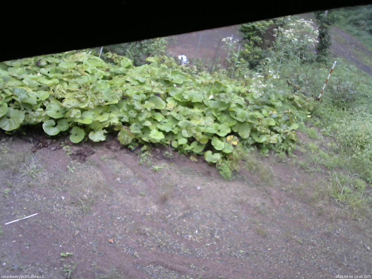 長野県菅平高原 ゆたか山荘 駐車場 2025/09/04 14:45