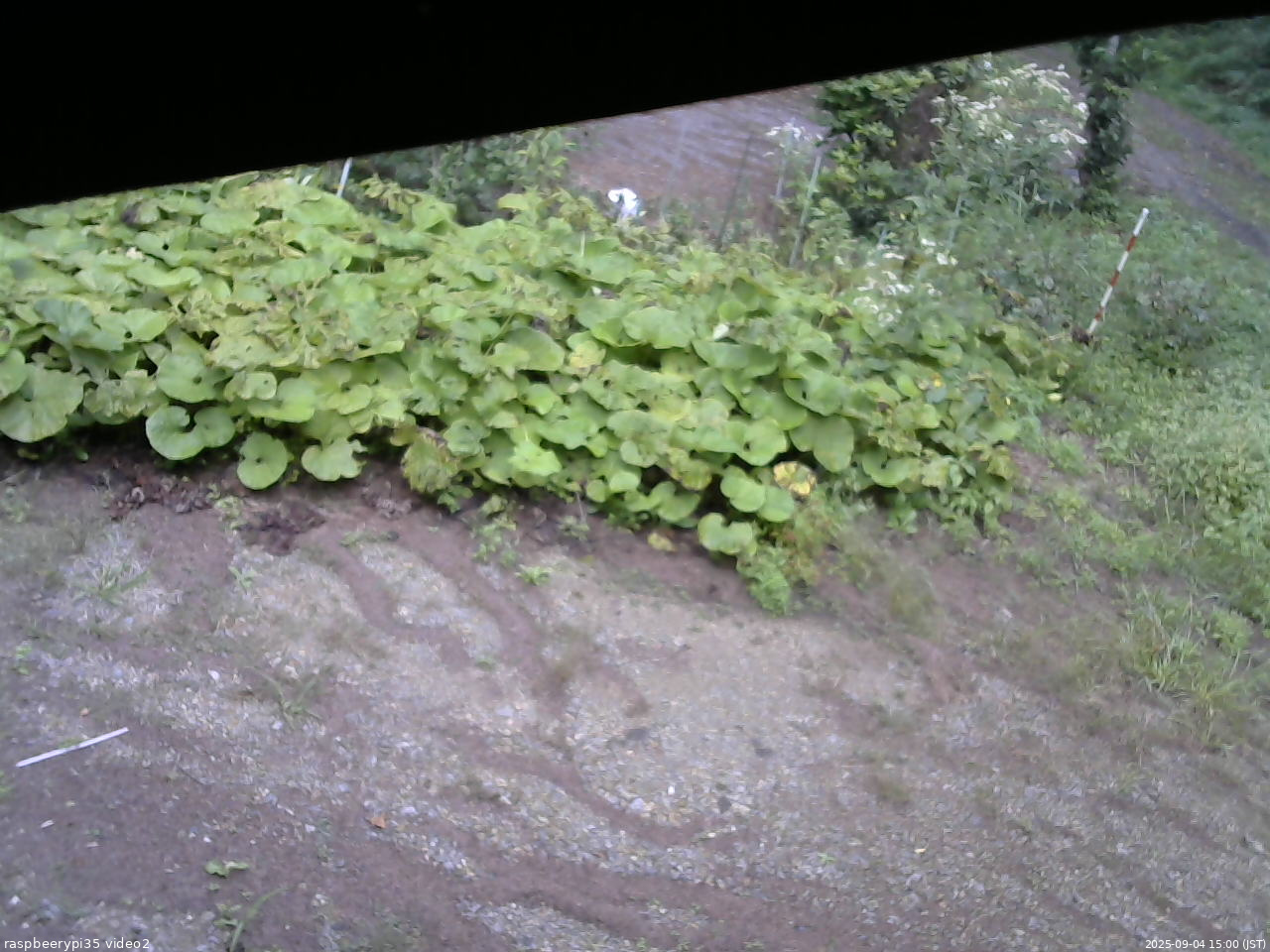 長野県菅平高原 ゆたか山荘 駐車場 2025/09/04 15:00