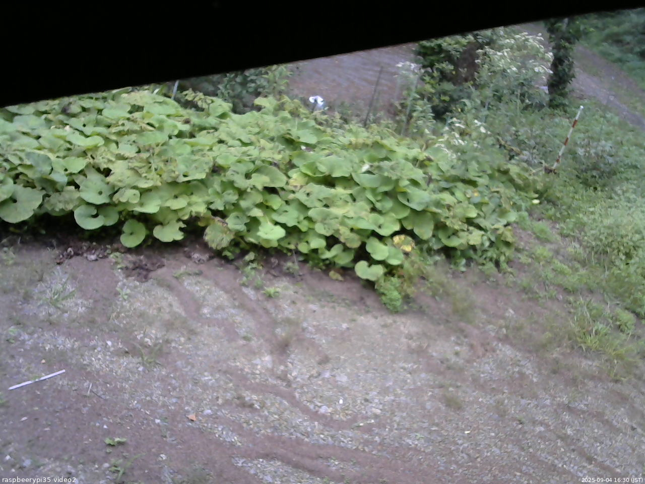 長野県菅平高原 ゆたか山荘 駐車場 2025/09/04 16:30