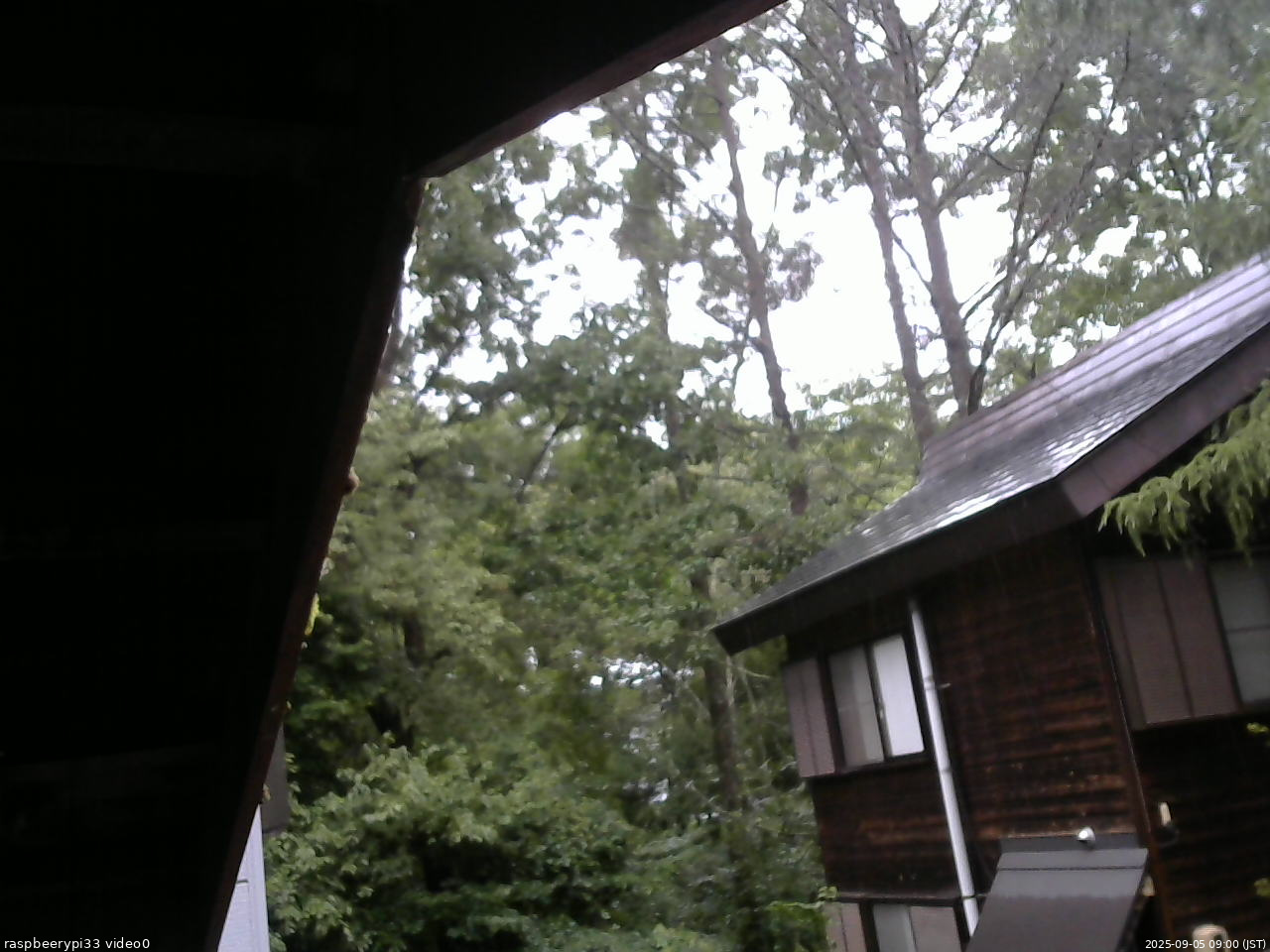 長野県菅平高原 ゆたか山荘 北側 2025/09/05 09:00