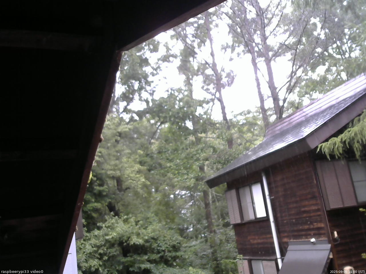 長野県菅平高原 ゆたか山荘 北側 2025/09/05 11:00