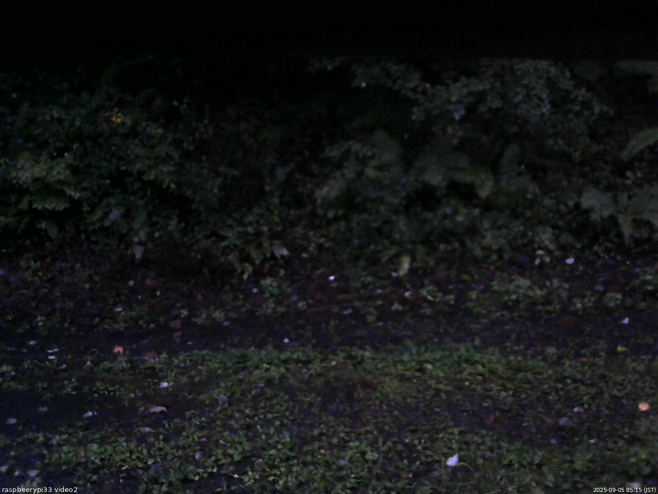 長野県菅平高原 ゆたか山荘 南側 2025/09/05 05:15