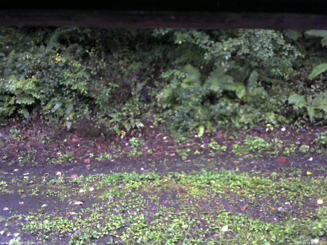 長野県菅平高原 ゆたか山荘 南側 2025/09/05 05:45
