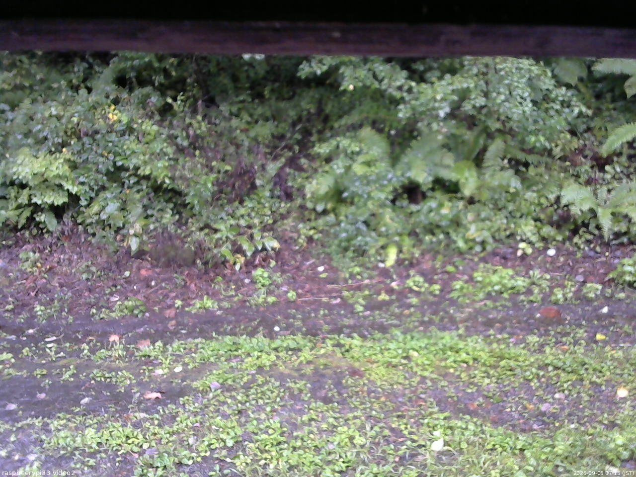 長野県菅平高原 ゆたか山荘 南側 2025/09/05 07:15