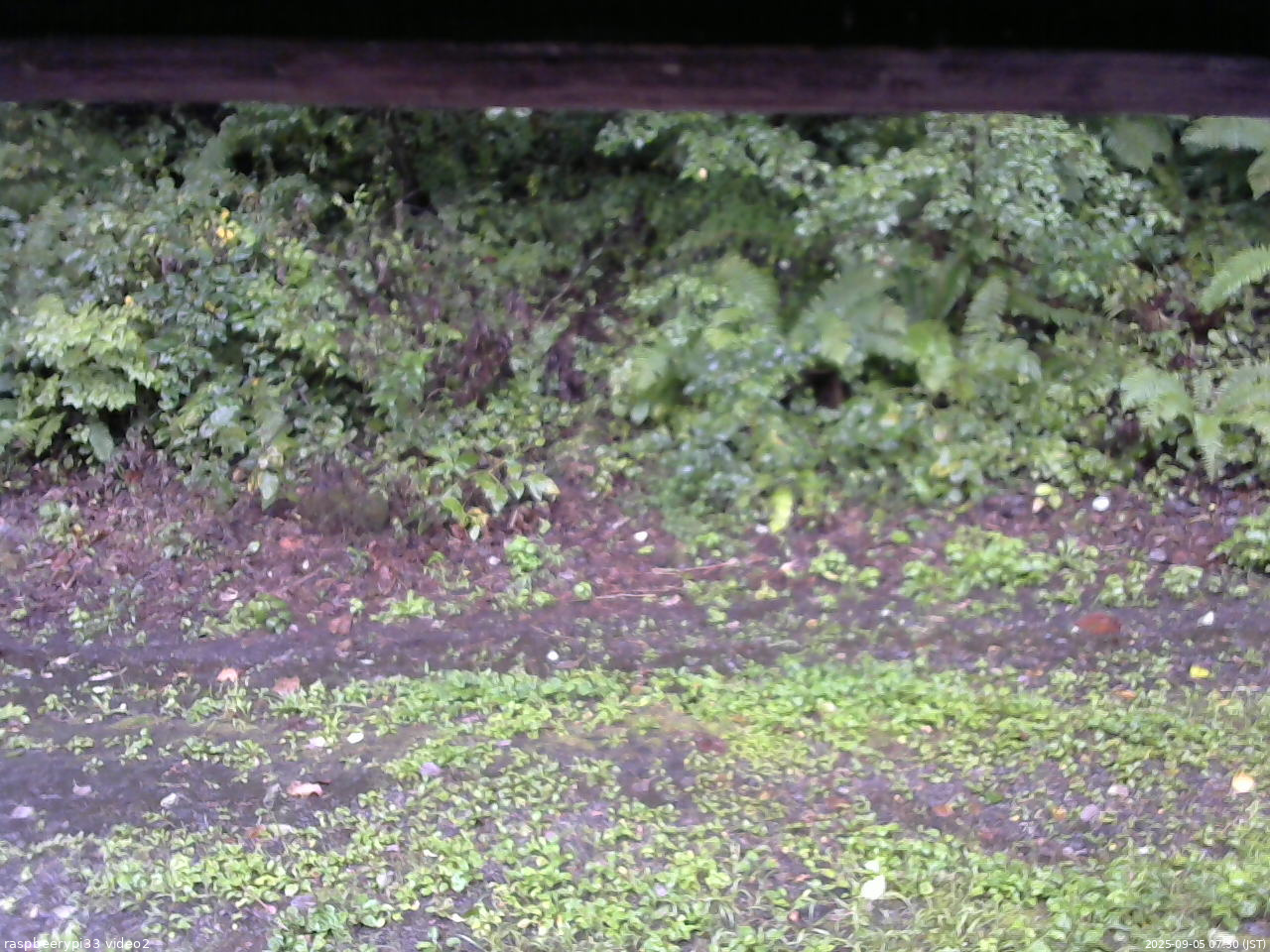 長野県菅平高原 ゆたか山荘 南側 2025/09/05 07:30