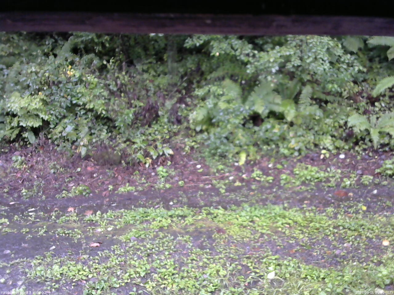 長野県菅平高原 ゆたか山荘 南側 2025/09/05 09:00