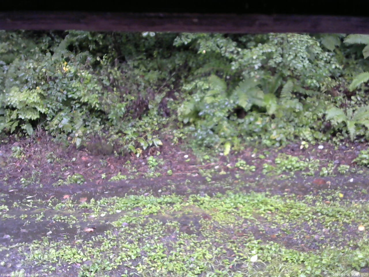 長野県菅平高原 ゆたか山荘 南側 2025/09/05 10:15