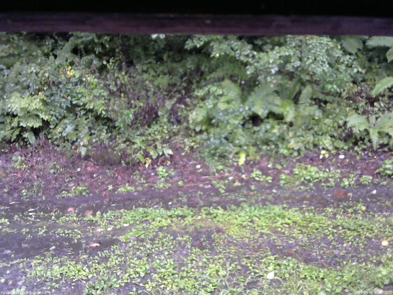 長野県菅平高原 ゆたか山荘 南側 2025/09/05 10:30